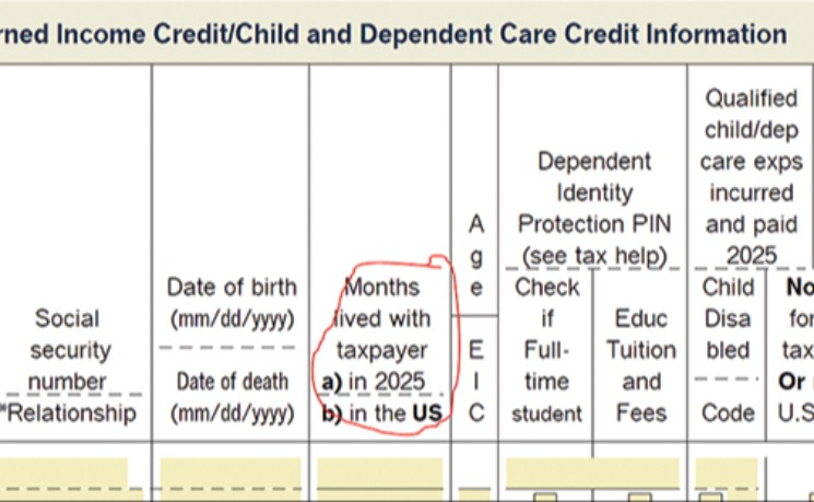 IRS政策收紧 卫星宝宝成今年退税关注目标