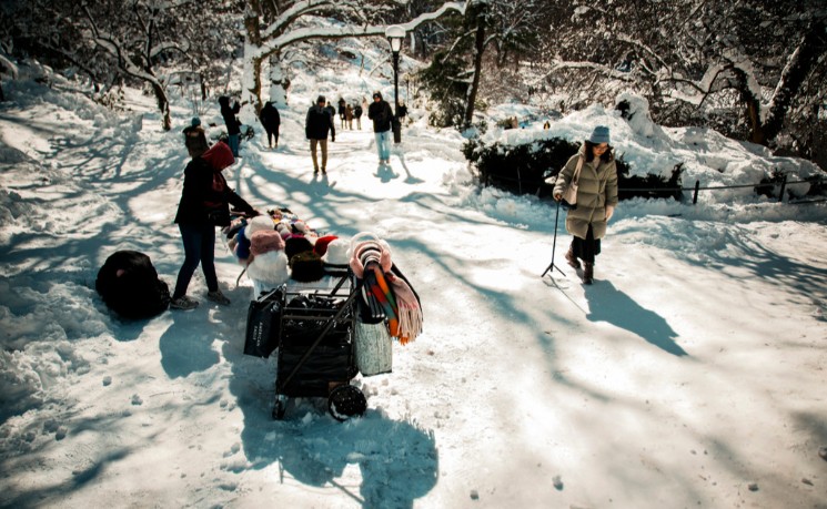 强暴风雪席卷美国东北部 数千航班取消多州紧急状态生效