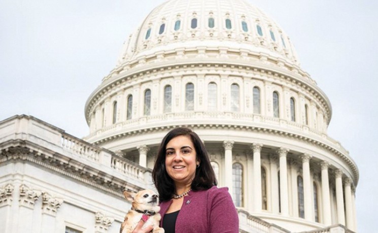 最高法院冻结纽约法院重新划分玛丽奥国会选区命令