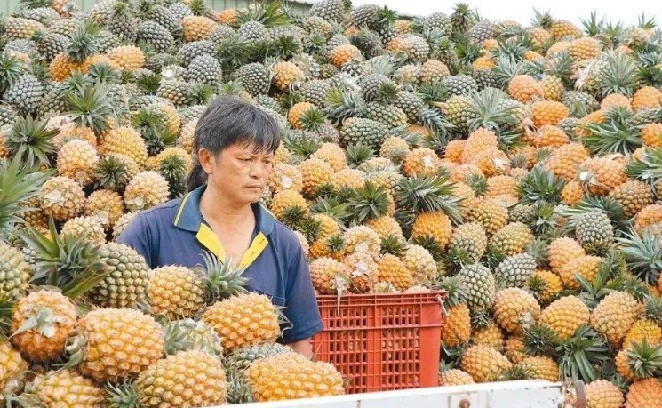 台湾农产品贸易逆差持续扩大