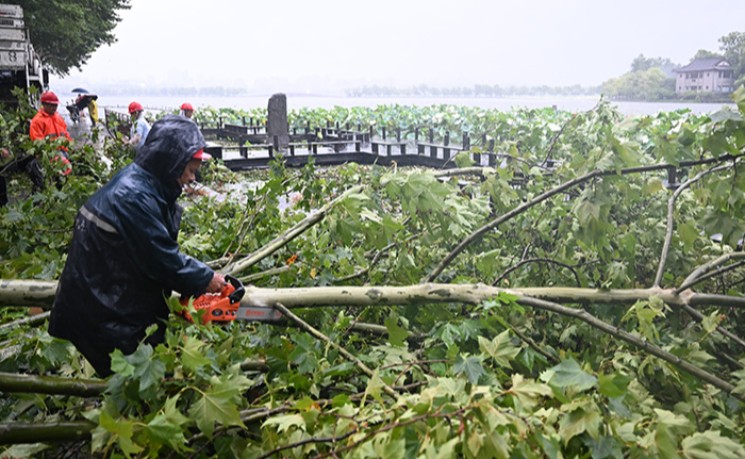 台风&ldquo;白海豚&rdquo;两度登陆浙江 长三角超1700架次航班取消